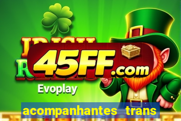 acompanhantes trans porto seguro
